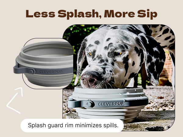 Less Splash More Sip