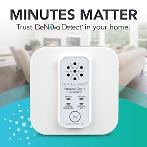 Image of Natural Gas Alarm in living room