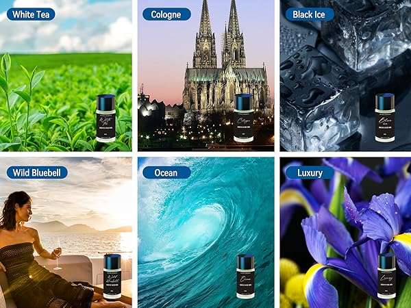 car fresheners long lasting