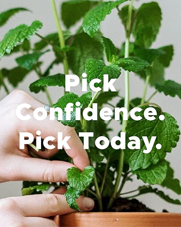 flavored floss picks mint