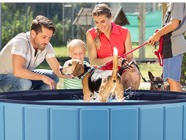 dog pool