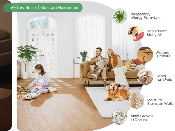 dehumidifiers
