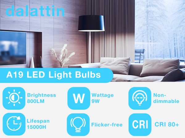 A19 LED bulbs