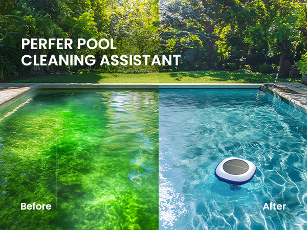 pool ionizer for above ground pool