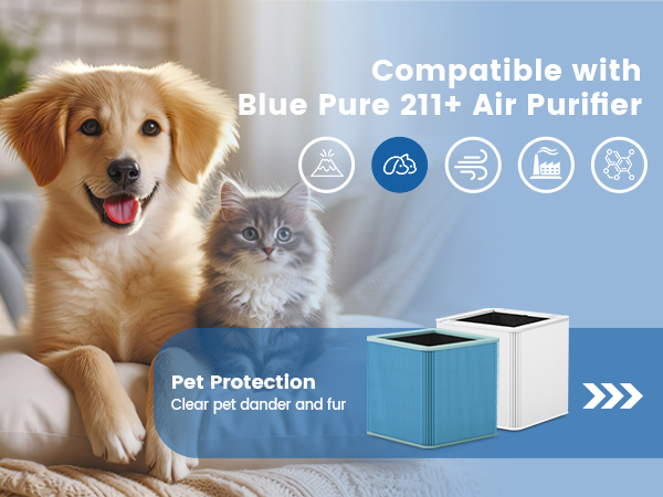 211+ Replacement Filter