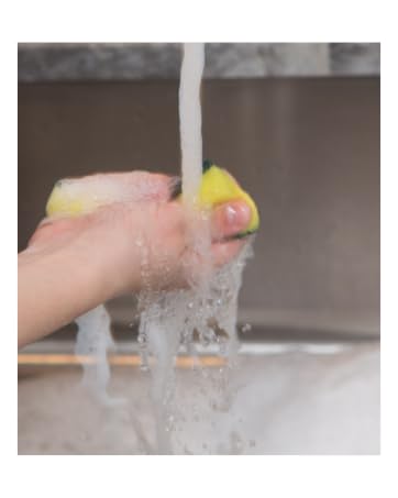 rinsing sponge