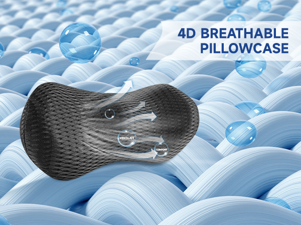 lumbar support pillow