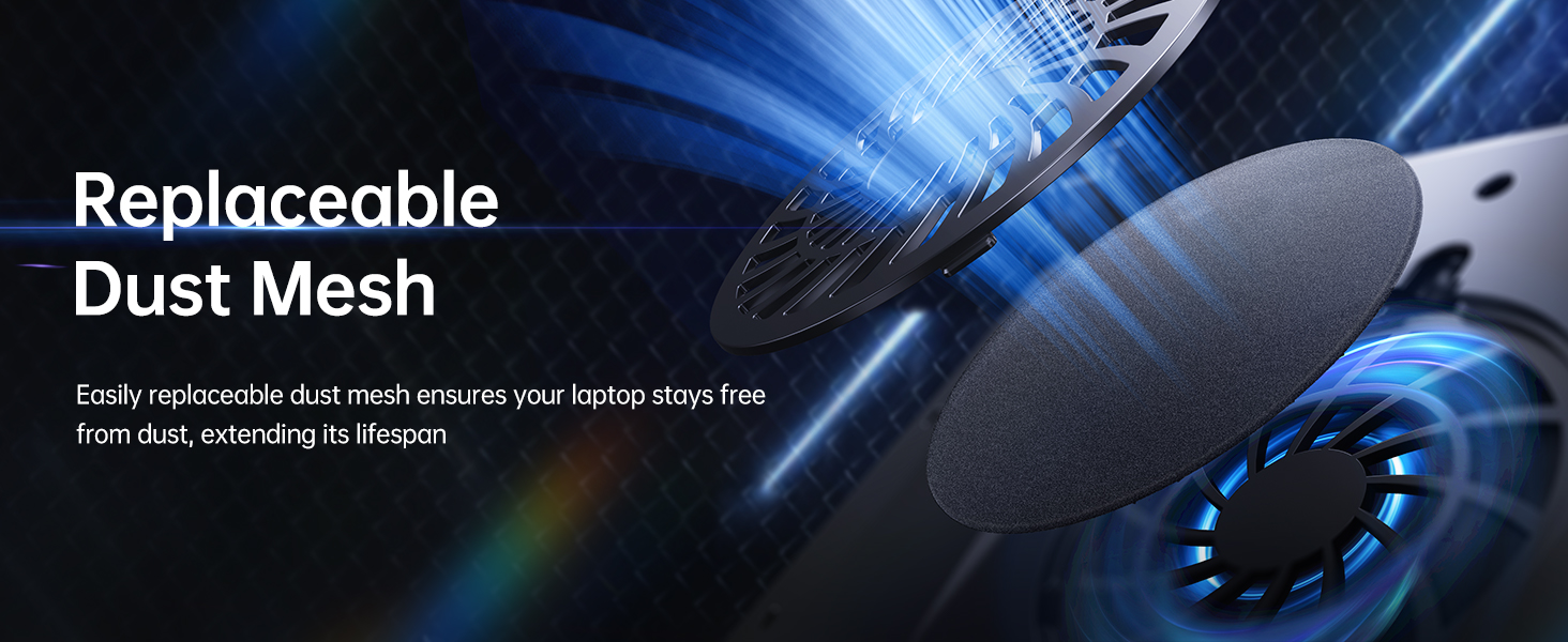 Replaceable dust mesh