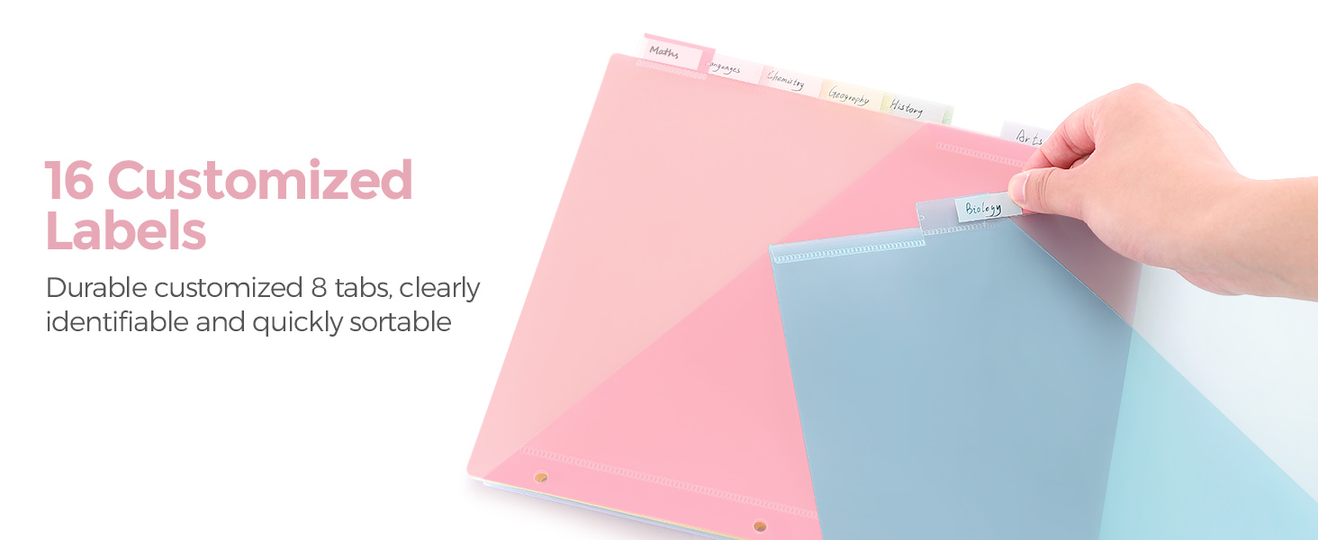 binder divider with tabs
