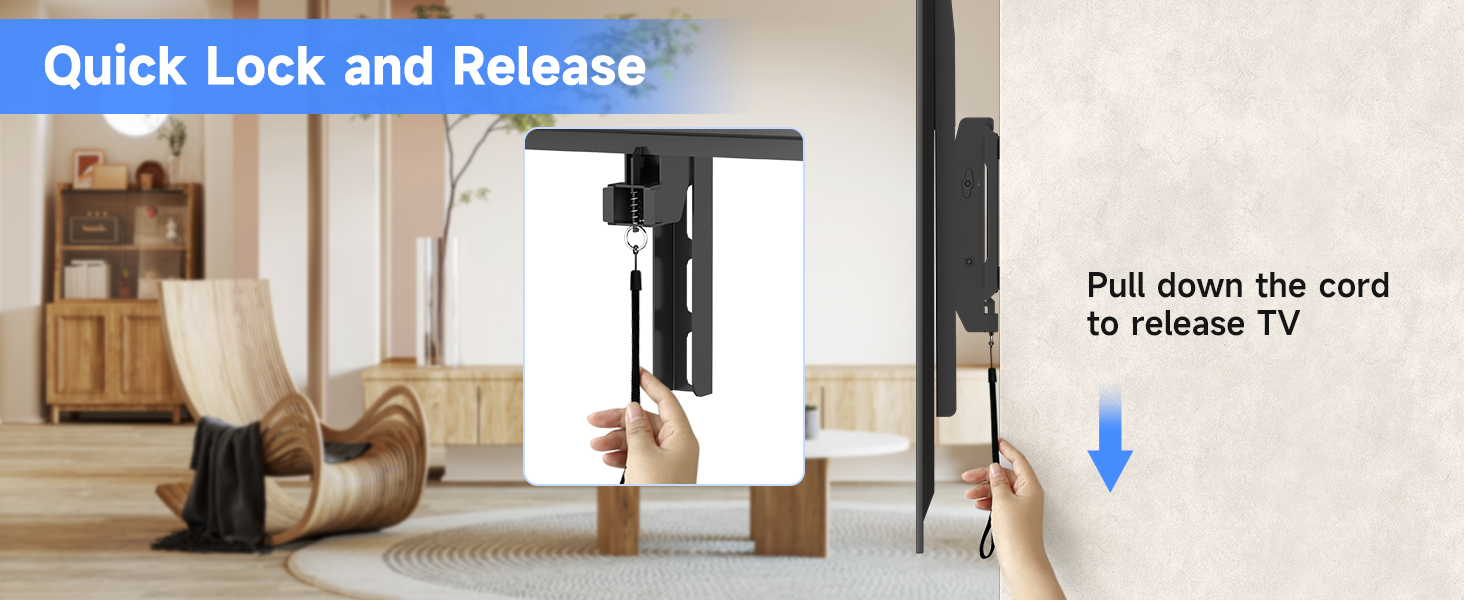 TV MOUNT