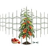 Tegarbed 6 Pack Tomato Cage for Garden Plant Supports, Up to 53 Inch Tomato Trellis for Potted Pl...