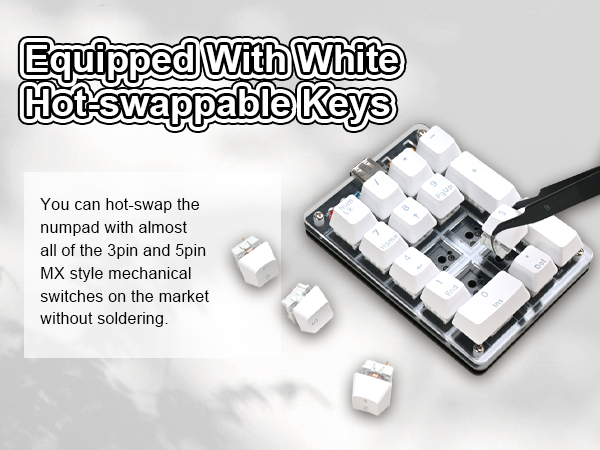 Equipped With White Hot-swappable Keys