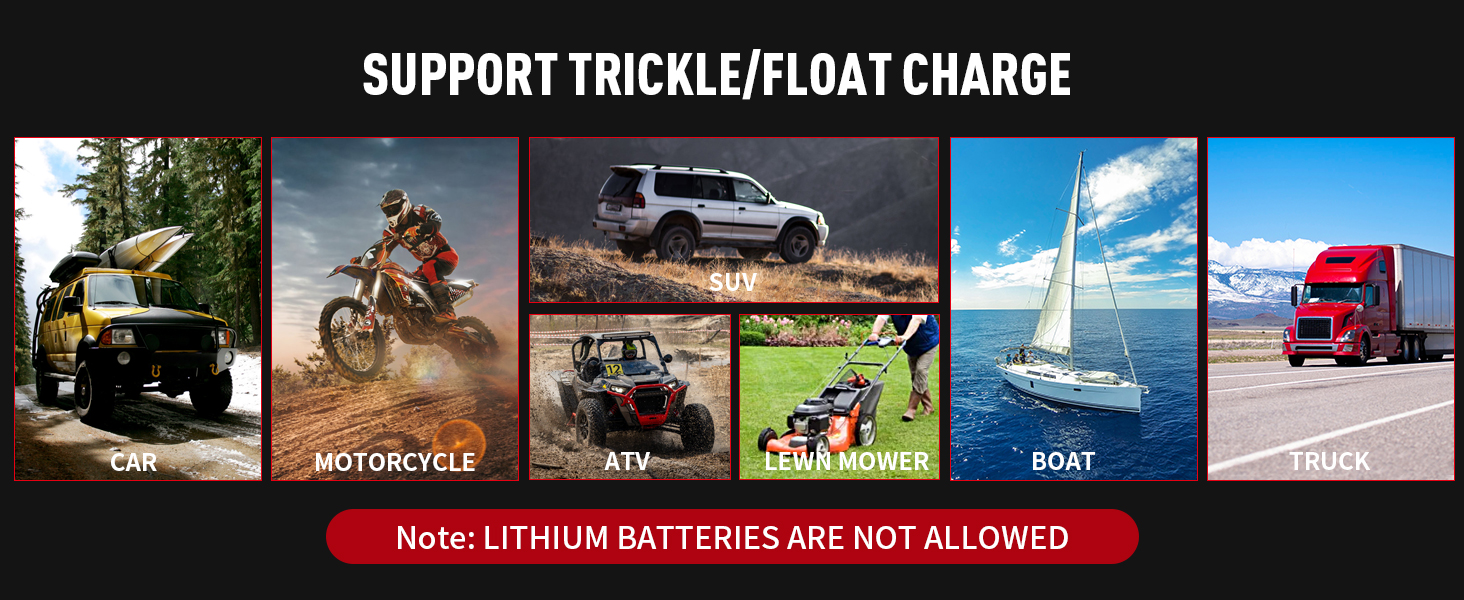 trickle charger for car battery 12v