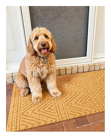 Entrance Door Mat