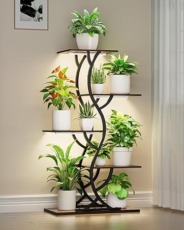 https://m.media-amazon.com/images/S/aplus-media-library-service-media/b21e3830-8d4a-4ac8-88c3-a34ebdce15a5.__CR100,0,799,1000_PT0_SX362_V1___.jpg