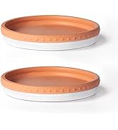 YBX 8-inch Plant Saucer Premium Terracotta Saucer Round Ceramic Plant Trays, Pack of 2 (White/Ter...