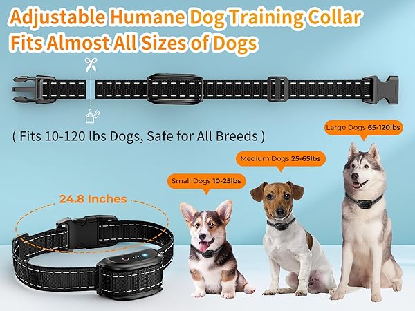 dog training collar with remote 4