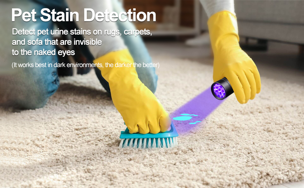 Pet stain detection