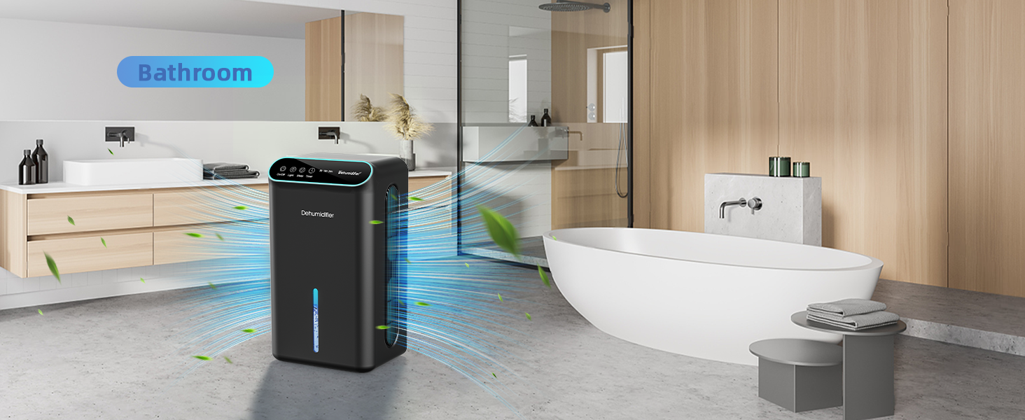 dehumidifier for bathroom