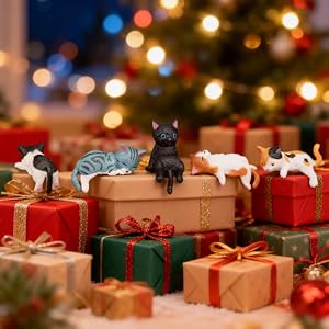 cat car gifts
