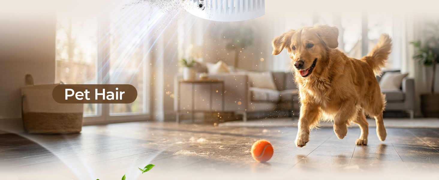 pet air purifiers for home