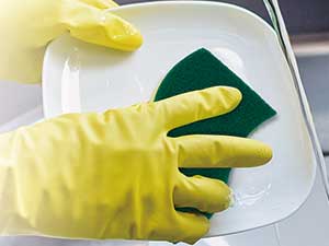 Dish Sponge