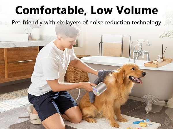 blow hair dryer