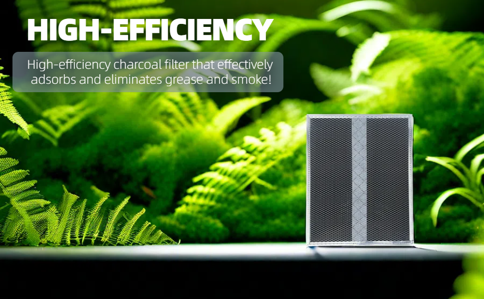 WB02X10707 S99010308 Charcoal Replacement Filter 