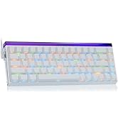 Aula Hero 68 HE 60% Gaming Keyboard Wired, Hall Effect Magnetic Switch Keyboard with Adjustable A...