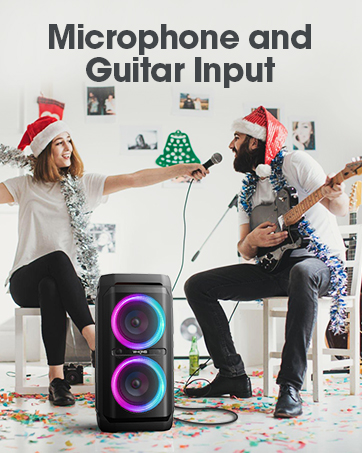 Microphone and Guitar Input