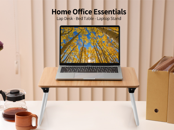 Ruxury Foldable Lap Desk Laptop Stand Bed Desk Table Tray