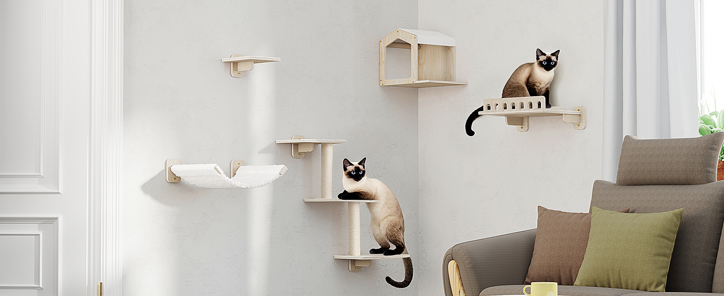 cat wall shelves