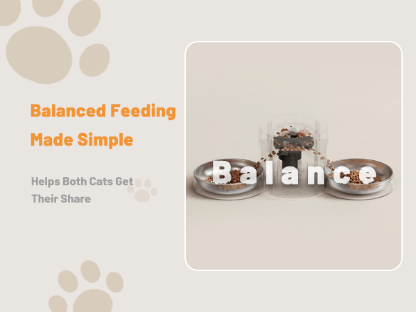pet feeder automatic wifi