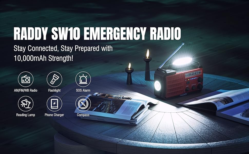 SW10 10000MAH battery