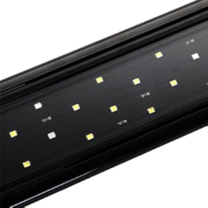 bright , energy efficient and Long lasting LEDs