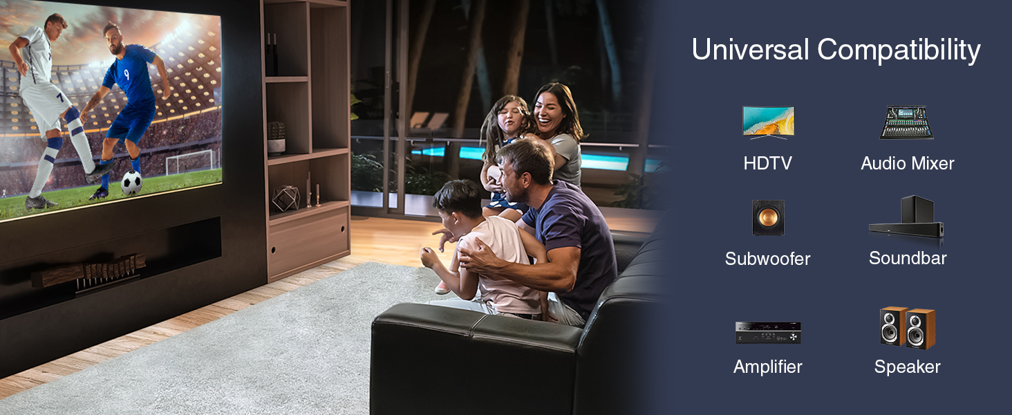 BLUERIGGER universal compatibility HDTV audio mixer subwoofer soundbar amp speaker phono turntable