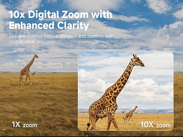 night vision goggles