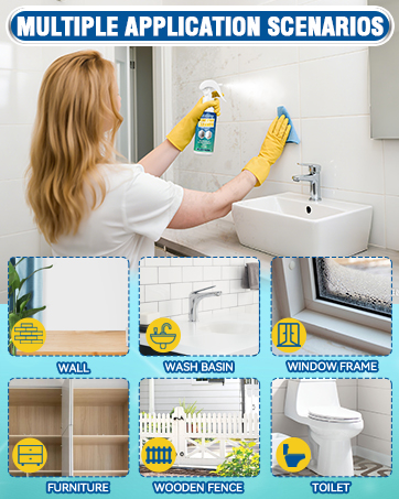 mold stain cleaner