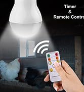 solar light bulbs indoor