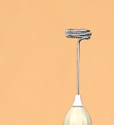 Milk Frother