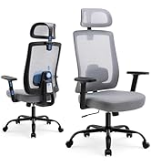 Shintenchi Office Chair Ergonomic Computer Desk Chair, 330 LBS Home Mesh Office Desk Chairs with ...