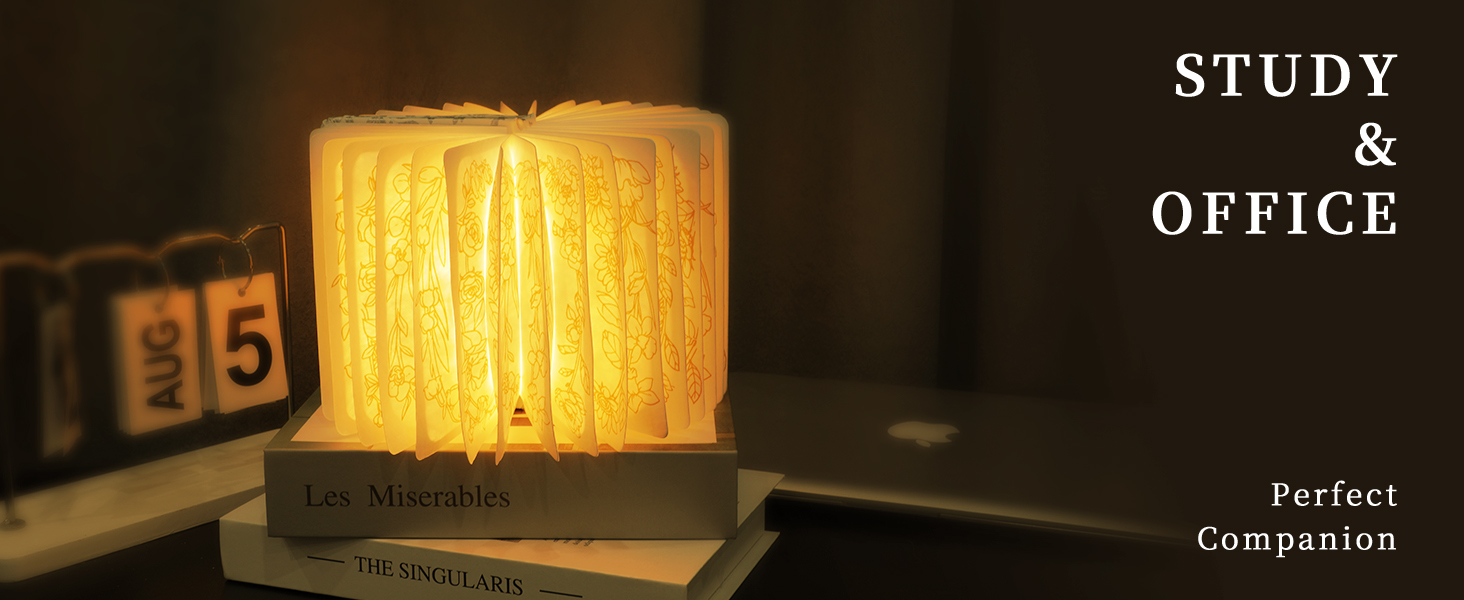 book lamp decor