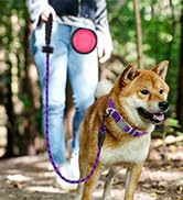 dog Leash for big dogs puppy leash rope