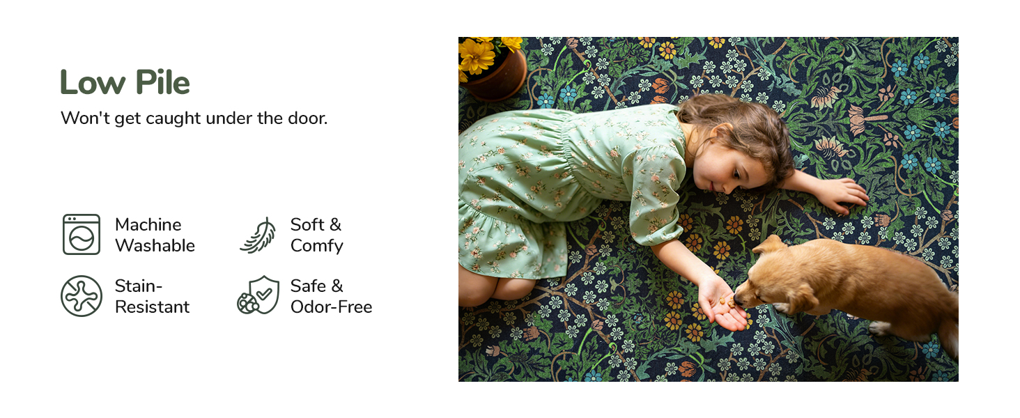 area rug