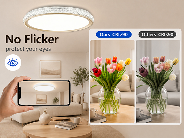 15 In LED Flush Mount Ceiling Light Fixture 3800LM Dimmable 5CCT Modern for Kitchen Kitchen Bathroom