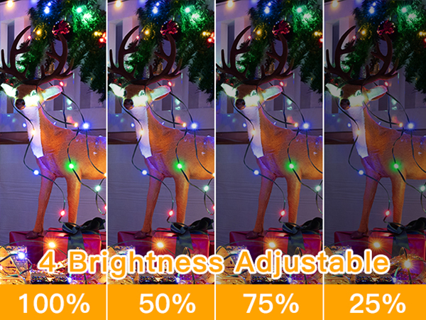 4 Brightness Adjustable Christmas String Lights