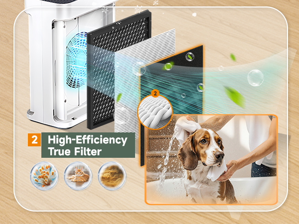 High-Efficiency True Filter