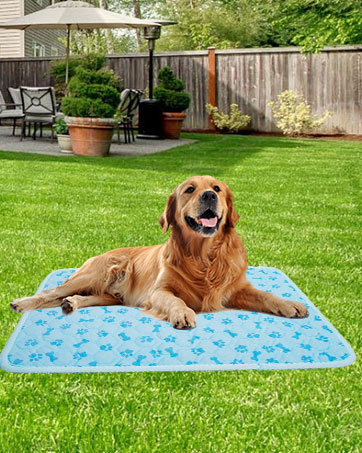 dog cooling mat