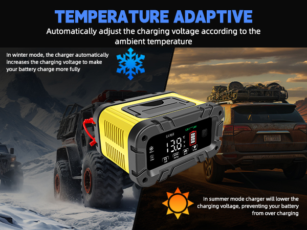 trickle charger for car battery 12v