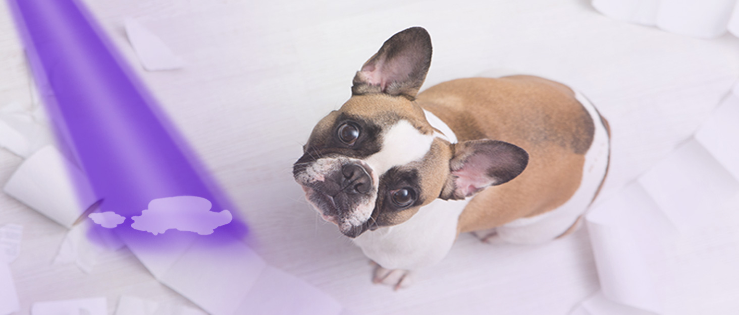 cosoos blacklight flashlight